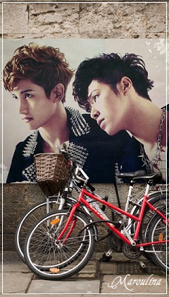 homin1-catchme-if5.jpg